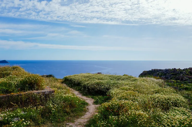 Primavera a Lentischi Beach: fiori selvatici, acque cristalline e la costa tutta per te